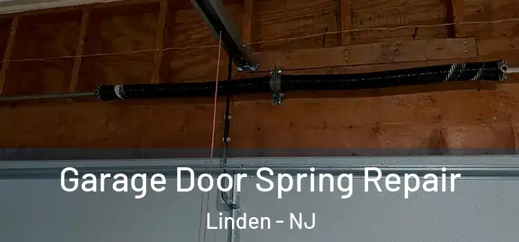  Garage Door Spring Repair Linden - NJ