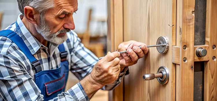 Mortise Replacement Lock Linden